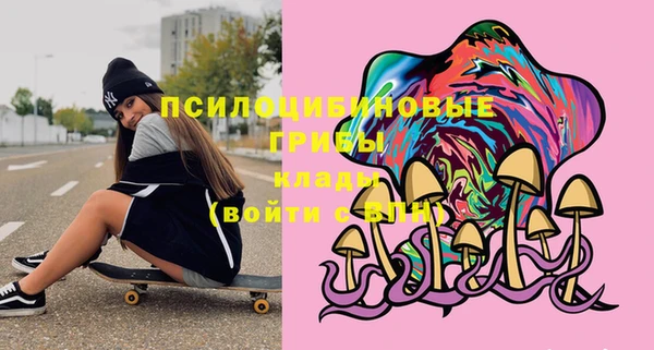 спиды Кукмор